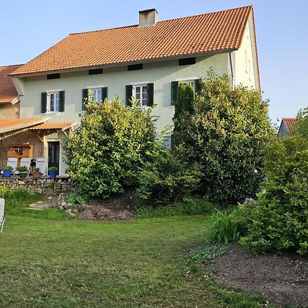 Ferienhaus Am Donauspitz Kelheim Bagian luar foto