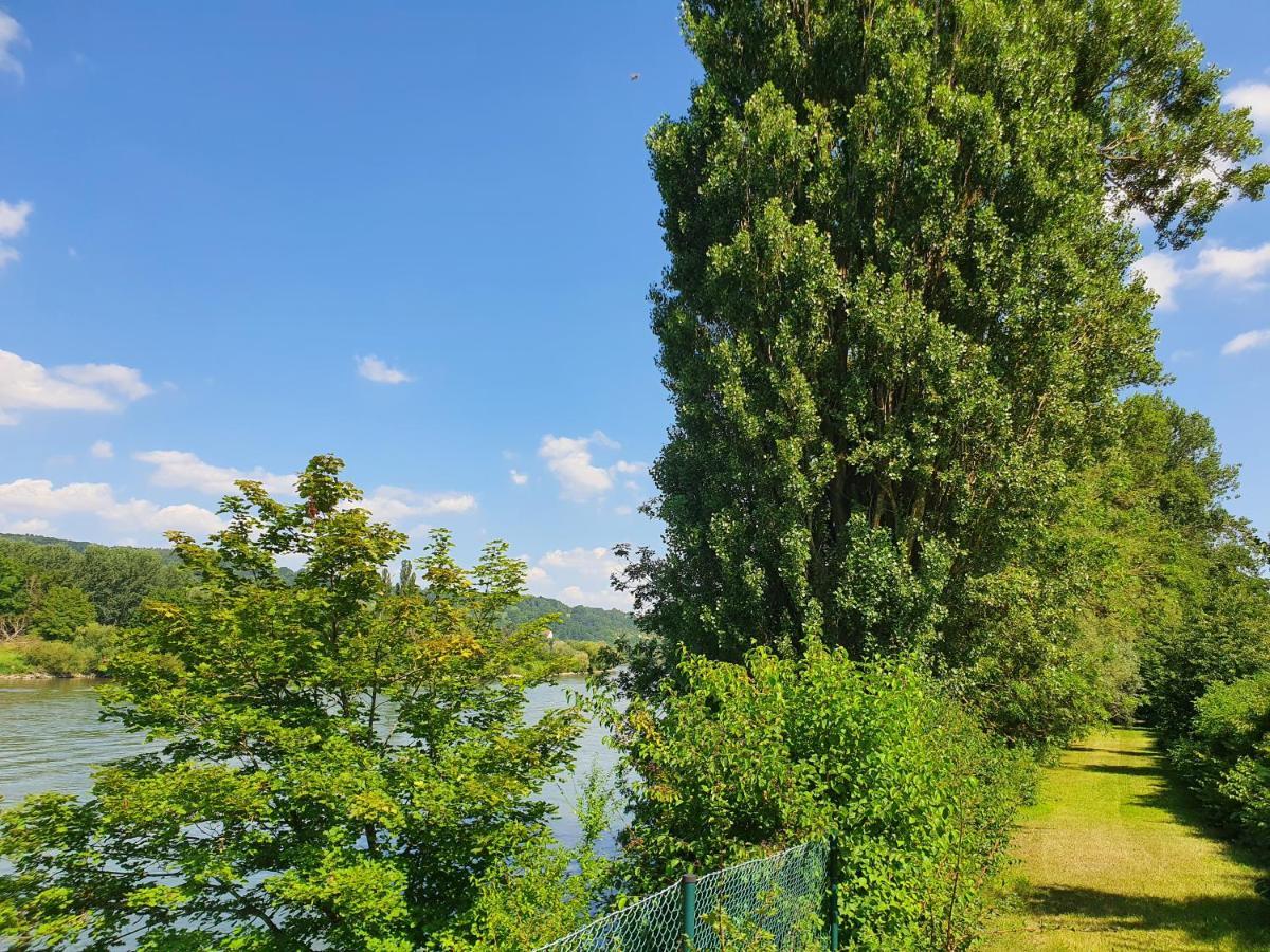 Ferienhaus Am Donauspitz Kelheim Bagian luar foto
